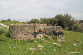 ammena-26-02-2023 13-45-36